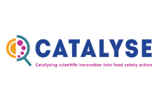 catalyse logo