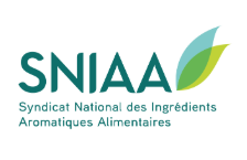 sniaa logo